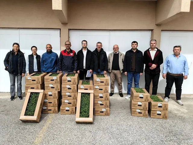 Kırklareli'de Sera Üretimi Destekleniyor