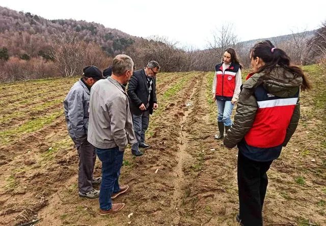 Kütahya'da Ahududu Üretimine Büyük Destek: Yüzde 75 Hibeli Bahçeler Denetimden Geçti