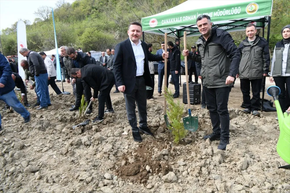 Lapseki'de Fidan Dikim Töreni - Son Dakika