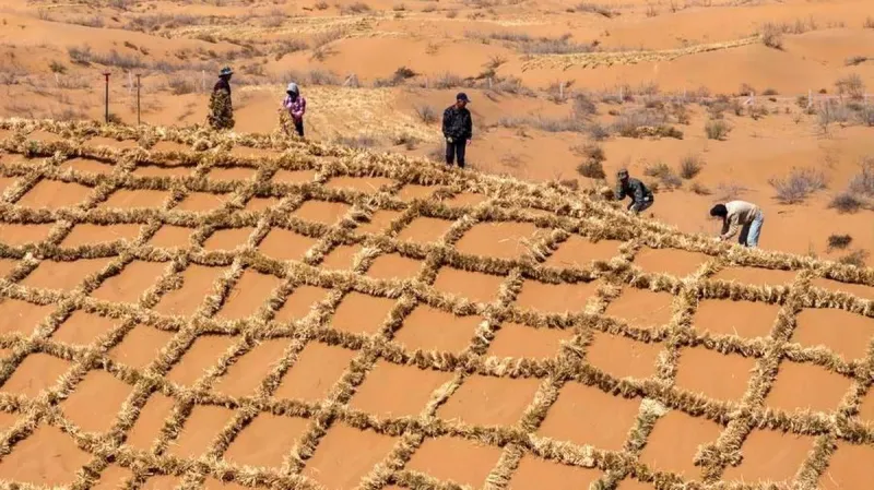 Albüm: Çin Çölleşmeyle Mücadele İçin Tengger Çölü
