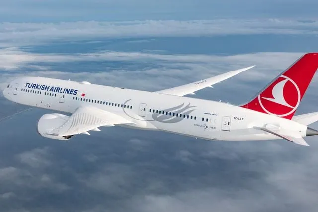 THY'de yönetimde görev değişikliği