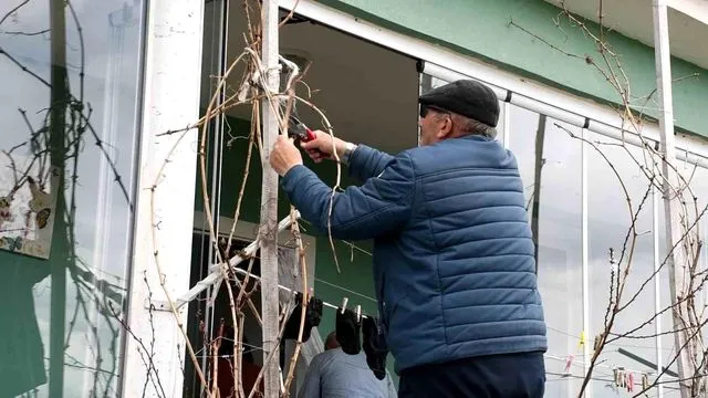 Yozgat'ta Bağ Bozumu Öncesi Umutlu Bekleyiş: Üreticiler Geçen Yılın Kayıplarını Telafi Etmeye Hazırlanıyor