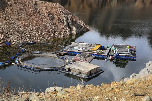Yüksek rakımı ve serin suları Erzurum