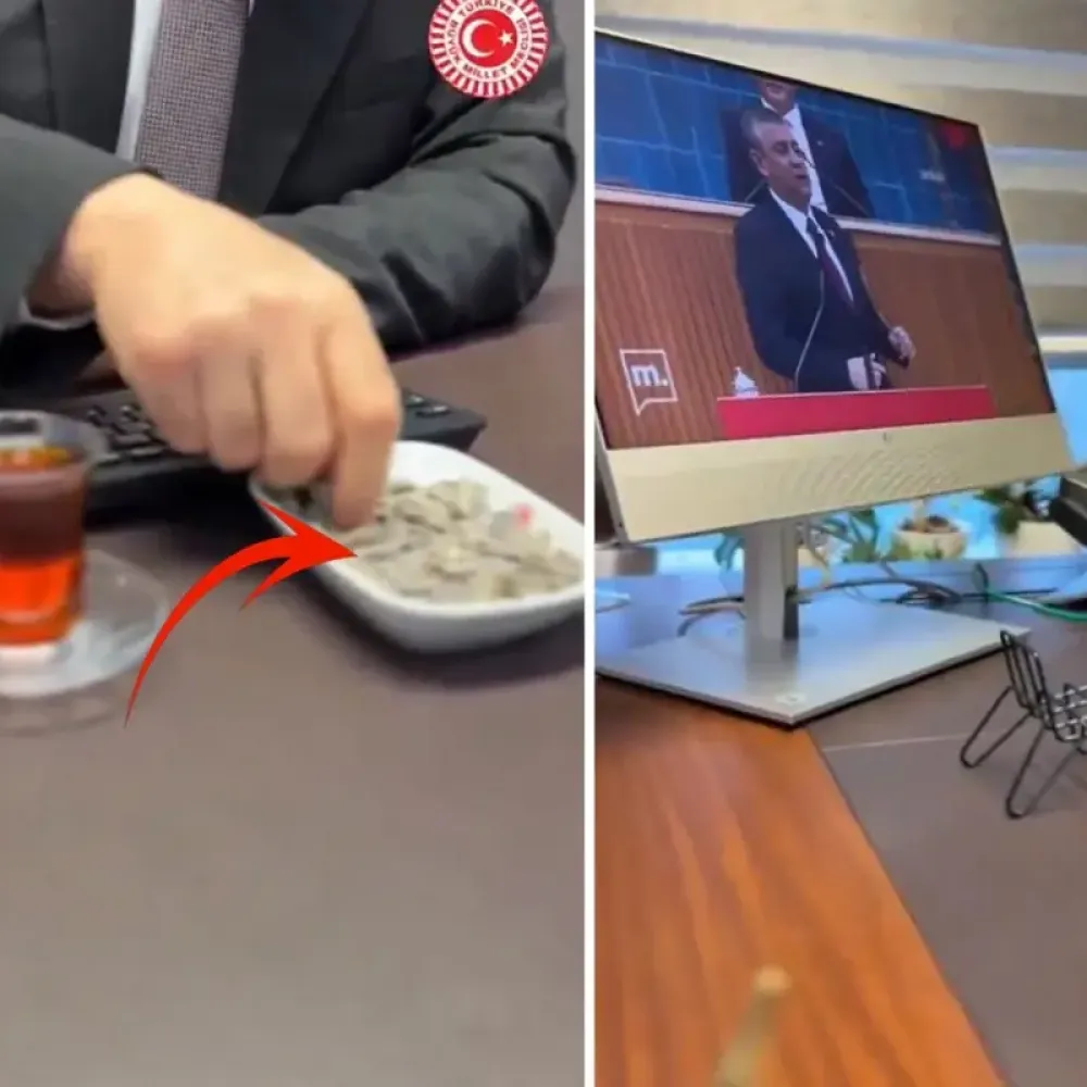AK Partili vekil, Meclis