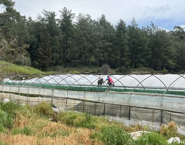 Antalya'da etkili olan hortum bazı seralara zarar verdi