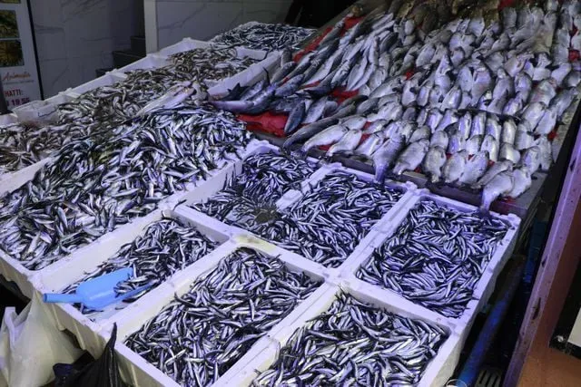 Karadeniz’de Hamsi Bolluğuna Rağmen Balık Tezgahlarında Ramazan ve Bayram Sessizliği