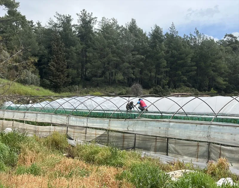 Antalya'da etkili olan hortum bazı seralara zarar verdi