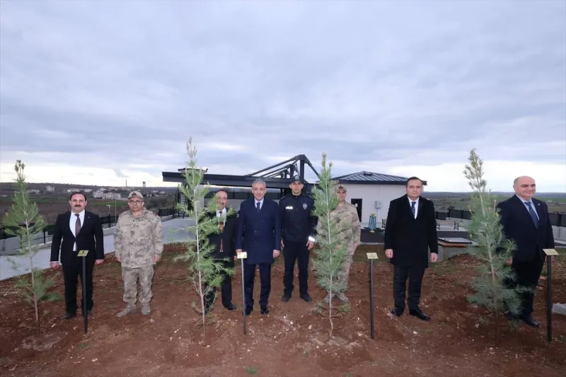 Mardin Valisi Akkoyun, Ömerli