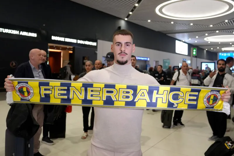 Mimovic'e yeniden Fenerbahçe yolu gözüktü